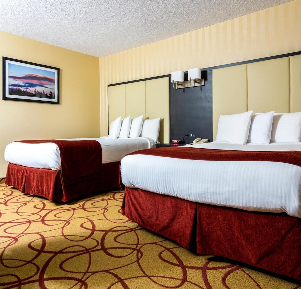 Sinbads Hotel & Suites Gander Esterno foto