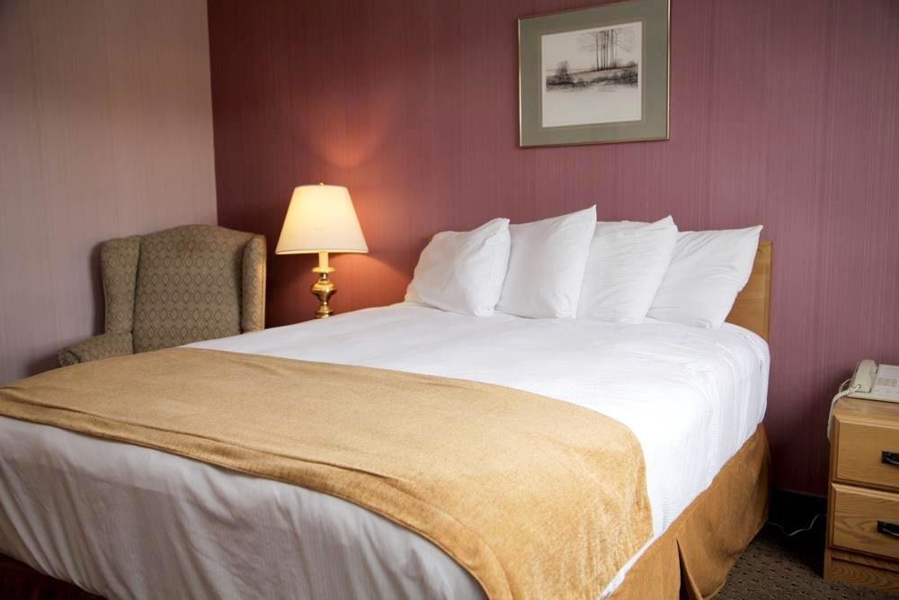 Sinbads Hotel & Suites Gander Esterno foto